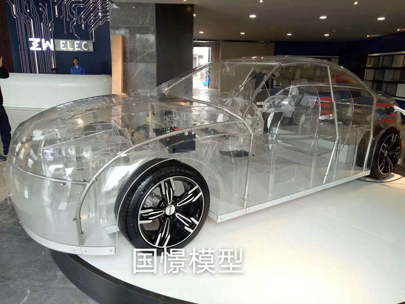 沂南县透明车模型